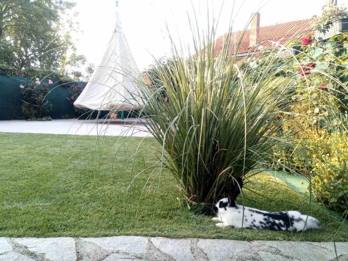 Hotel Yard House Trpejca Ohrid Esterno foto